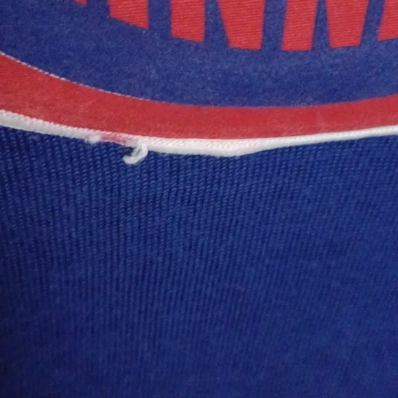 Vintage Winnipeg Jets Hedberg 15 Jersey - Picture 4 of 6